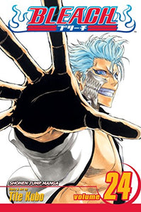 Bleach, Vol. 24 