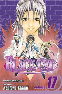 Black Cat, Vol. 17 