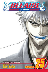 Bleach, Vol. 25 