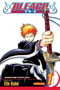 Bleach, Volume 1 