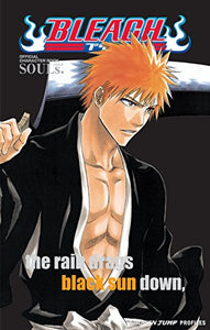 Bleach SOULs. Official Character Book 