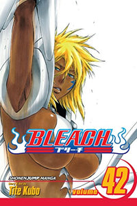 Bleach, Vol. 42 