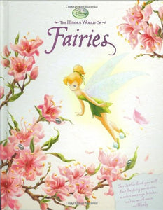 The Hidden World of Fairies 