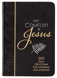 My Comfort is Jesus 