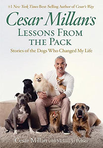 Cesar Millan's Lessons from the Pack 