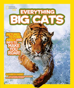 Everything Big Cats 