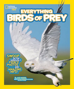 Everything Birds of Prey 