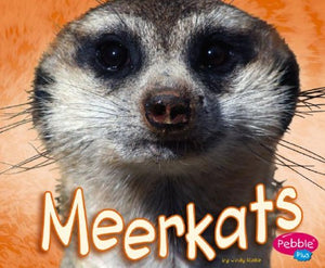 Meerkats 