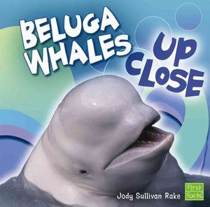 Beluga Whales Up Close 