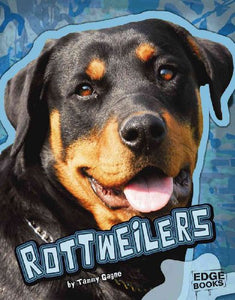 Rottweilers 