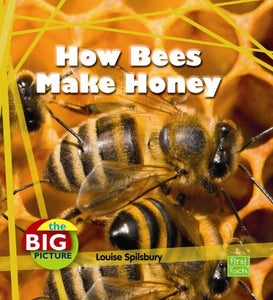 How Bees Make Honey 