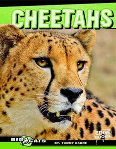 Cheetahs 