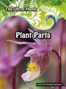 Plant Parts 