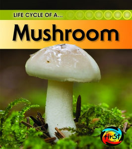 Mushroom 