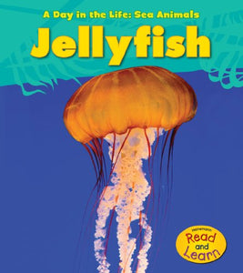 Jellyfish 