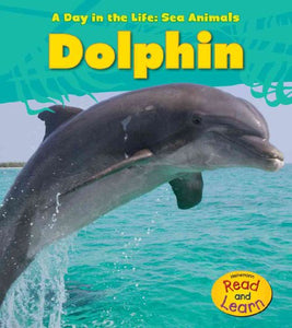 Dolphin 