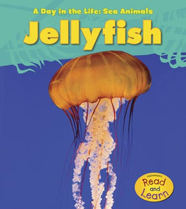 Jellyfish (A Day in the Life: Sea Animals) 