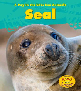 Seal (A Day in the Life: Sea Animals) 