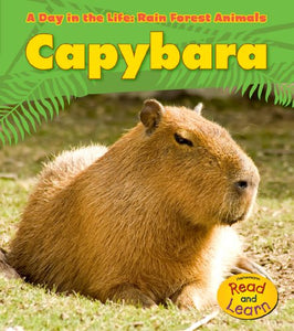 Capybara 