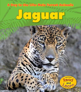 Jaguar 