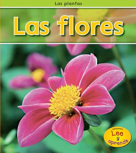 Las Flores 