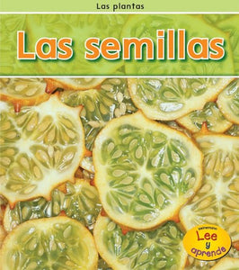 Las Semillas 