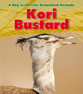 Kori Bustard 