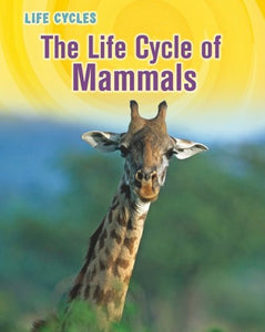 The Life Cycle of Mammals 