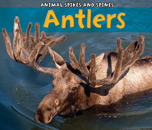 Antlers 