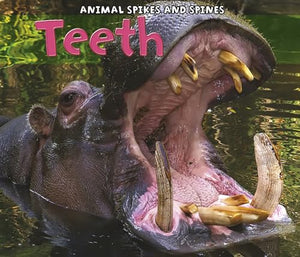 Animal Spikes and Spines Teeth 