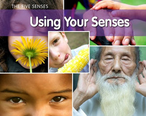 Using Your Senses 