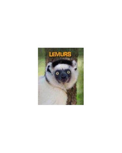 Lemurs 