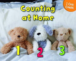 Counting at Home 