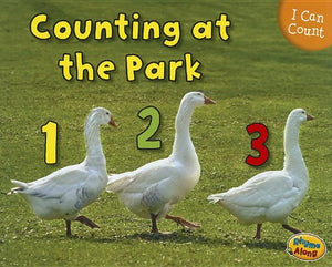 I Can Count Counting at the Park 