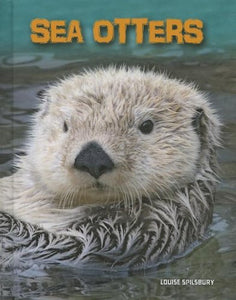 Sea Otters 