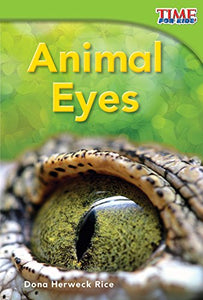 Animal Eyes 