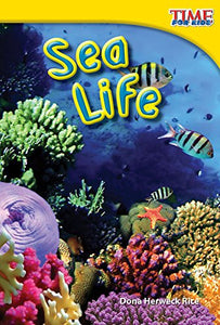 Sea Life 