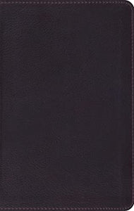 ESV Large Print Compact Bible 