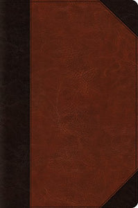 ESV Large Print Bible 