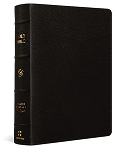 ESV Single Column Journaling Bible, Large Print 