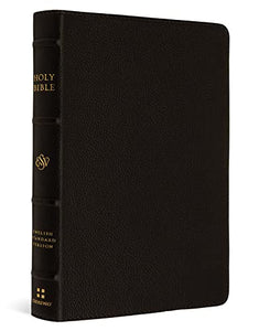 ESV Large Print Compact Bible 