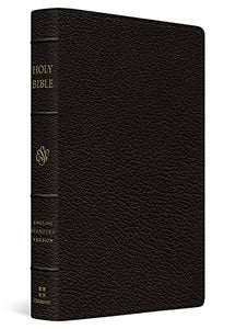 ESV Preaching Bible, Verse-by-Verse Edition 