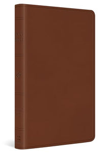 ESV Large Print Value Thinline Bible 