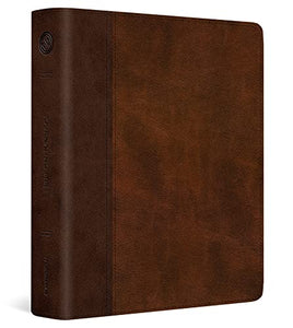 ESV Journaling Bible 