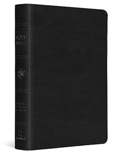 ESV Large Print Compact Bible 