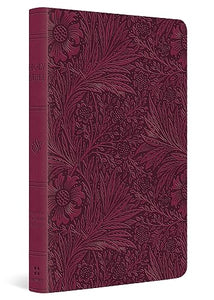 ESV Large Print Value Thinline Bible 