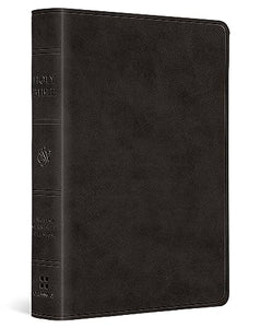 ESV Value Large Print Compact Bible 