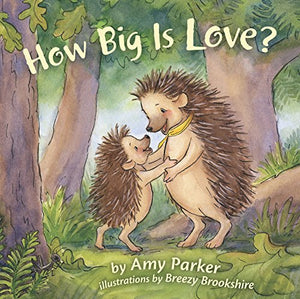 How Big Is Love? (padded board book) 