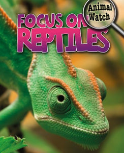 Focus on Reptiles 