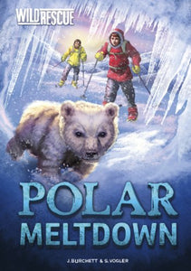 Polar Meltdown 